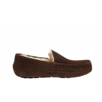 MEN'S ASCOT CHOCOLATE