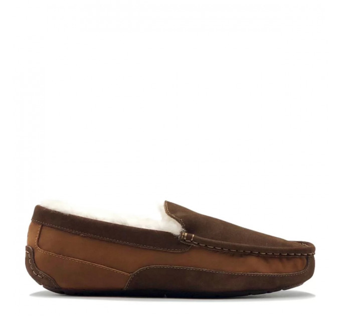 MEN'S ASCOT GOGNAC