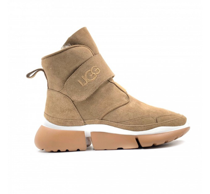 UGG SNEAKERS CHESTNUT