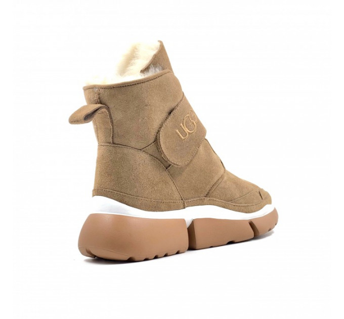 UGG SNEAKERS CHESTNUT