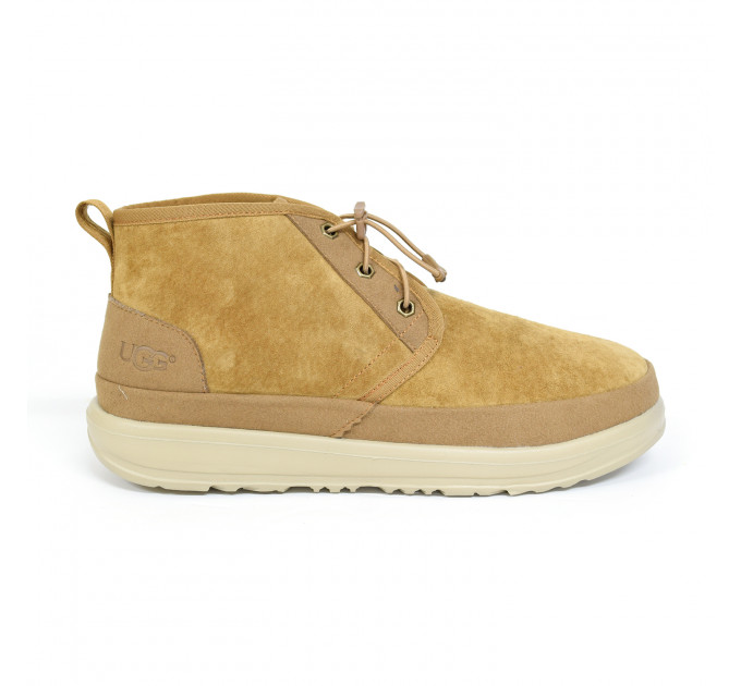 MEN`S NEUMEL ELASTIC CHESTNUT