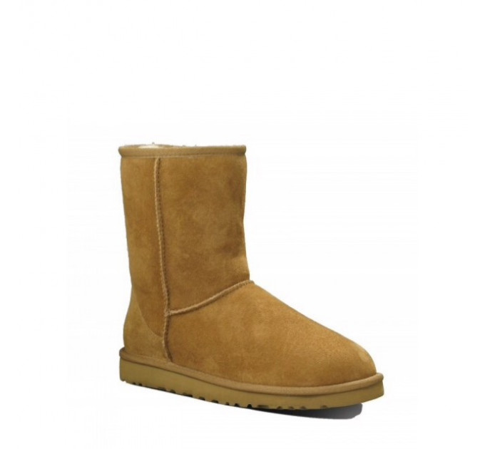MEN'S CLASSIC SHORT CHESTNUT