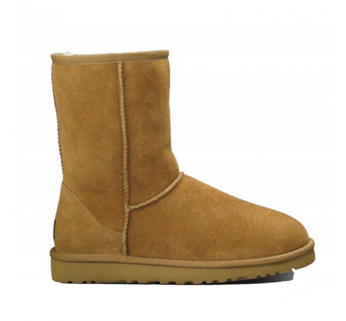 MEN'S CLASSIC SHORT CHESTNUT