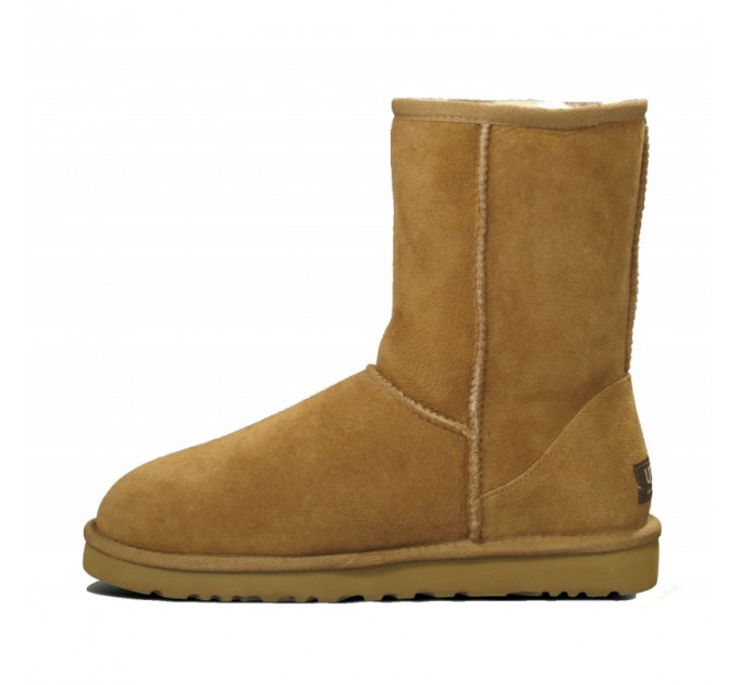 MEN'S CLASSIC SHORT CHESTNUT