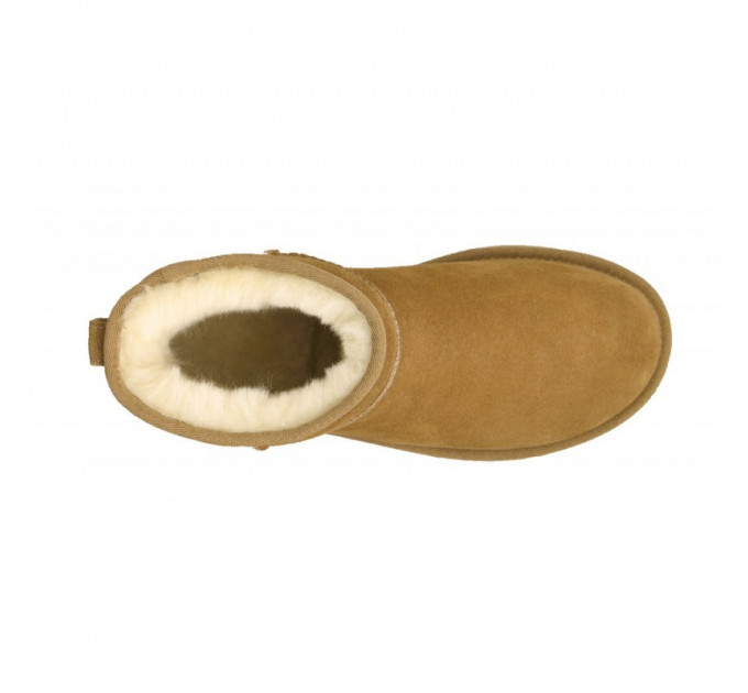 MEN'S CLASSIC MINI CHESTNUT