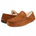 MEN'S ASCOT CHESTNUT