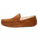 MEN'S ASCOT CHESTNUT