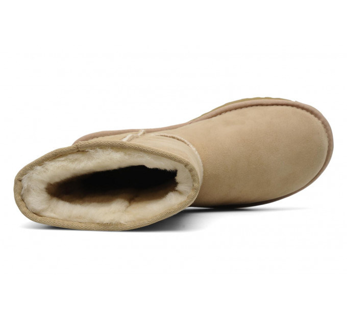CLASSIC SHORT SAND