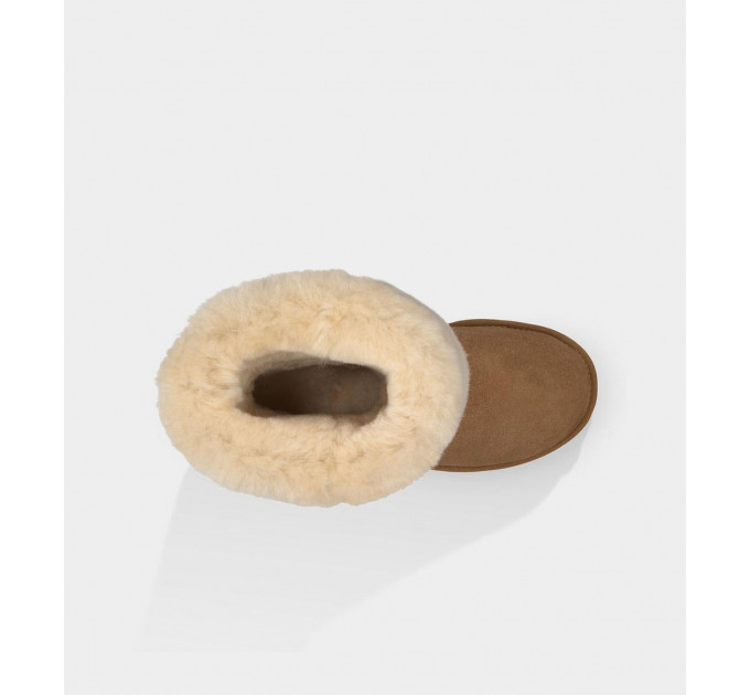 Classic Tall Women Chestnut