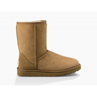 CLASSIC SHORT II CHESTNUT